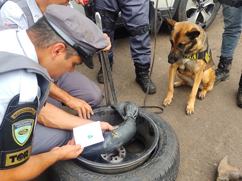 Cão farejador auxilia policiais rodoviários de Assis no encontro de cocaína
