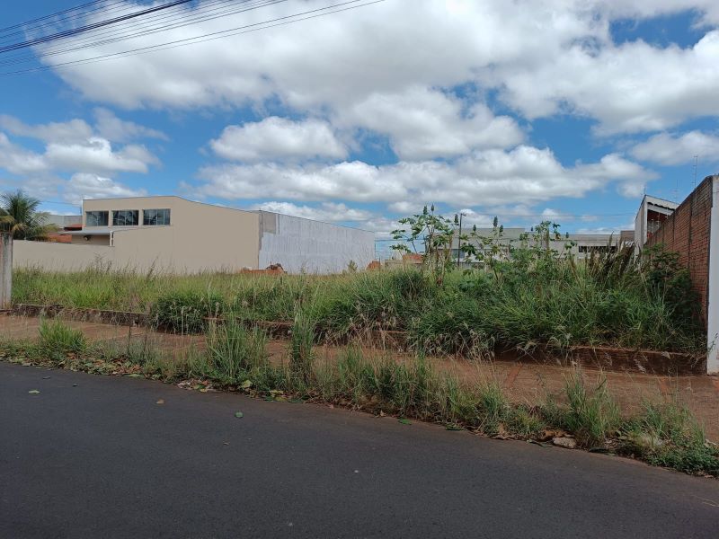 Moradores do Jardim Aeroporto reclamam de terrenos baldios sem limpeza