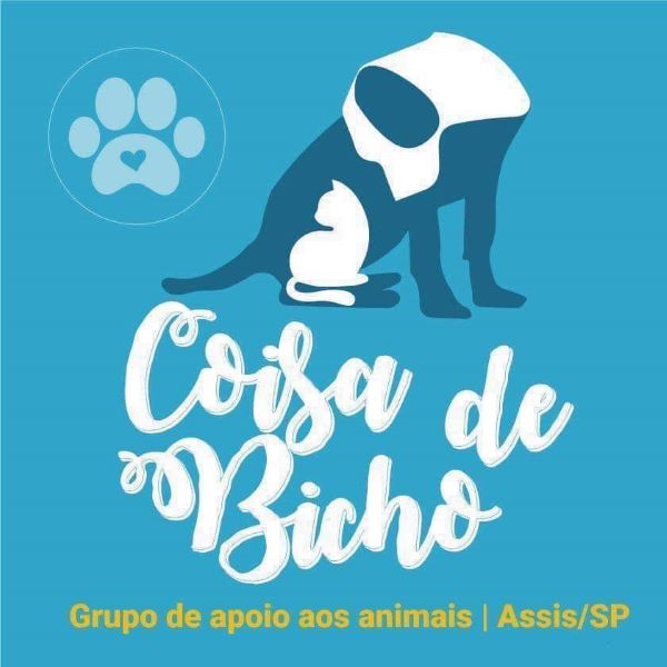 Grupo de apoio a animais pede doações para bazar solidário