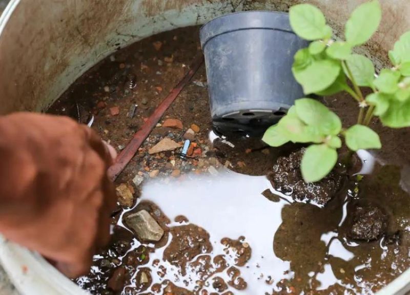 Assis participa do Dia D de Mobilização Estadual contra a dengue