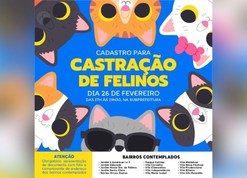 Prefeitura realiza cadastro para castração de gatos