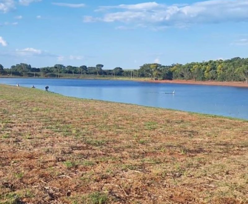 Moradores são convidados para nova soltura de peixes no Parque das Águas