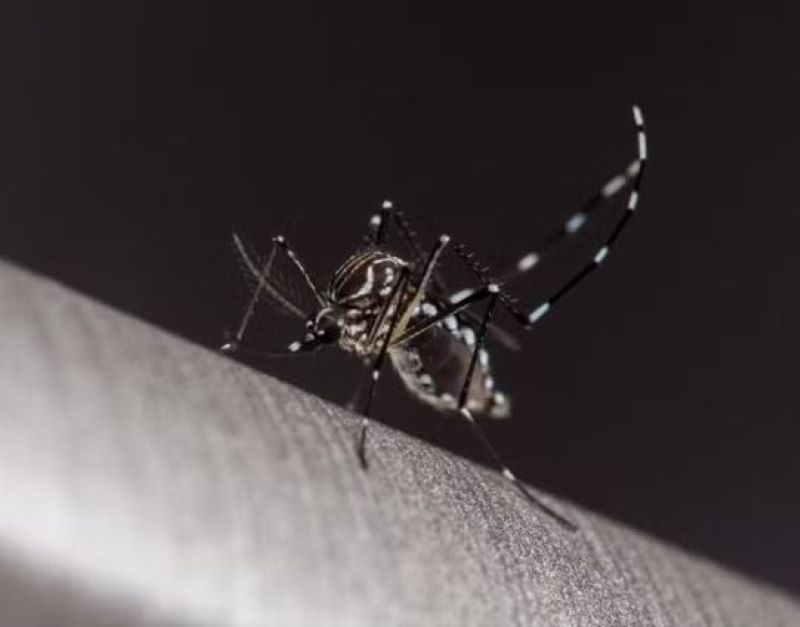Dengue avança no centro-oeste paulista e mais 5 mortes pela doença são registradas na região