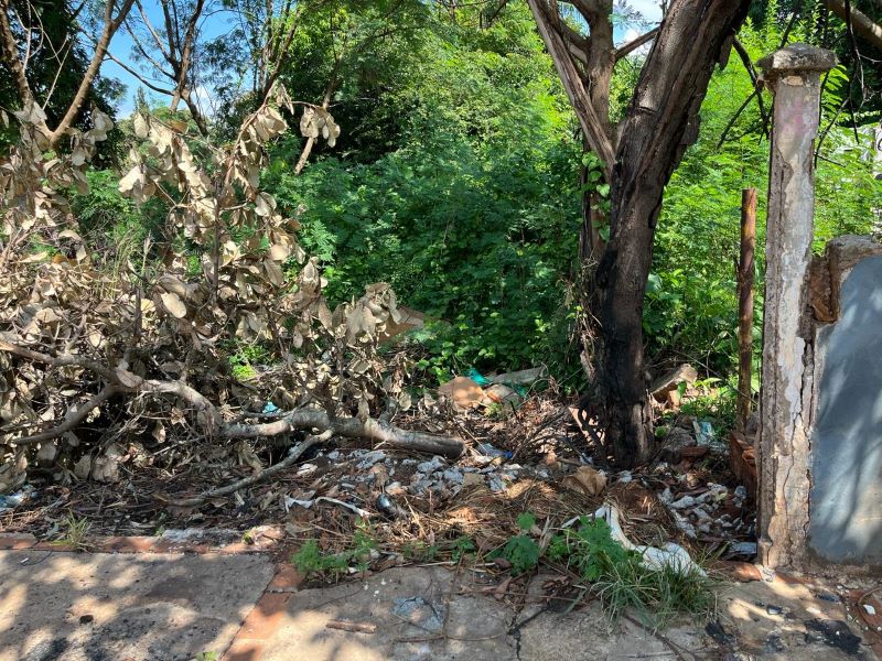 Terrenos baldios preocupam moradores da vila São João