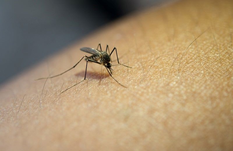 Sobe para 3.478 os casos positivos de dengue na cidade