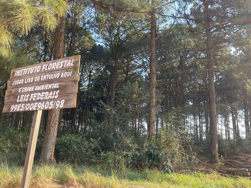 Brigadistas e Defesa Civil farão queima controlada no Horto Florestal de Assis nos dias 28 e 29