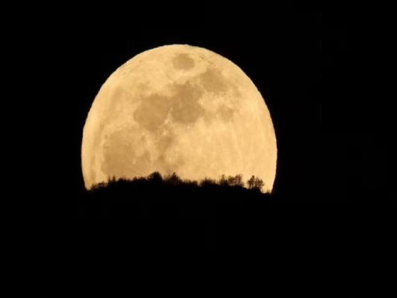 Lua cheia do veado aparece no céu nesta quinta-feira, 10