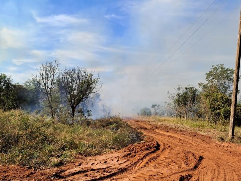 Floresta Estadual de Assis realiza queima controlada com finalidade ecológica