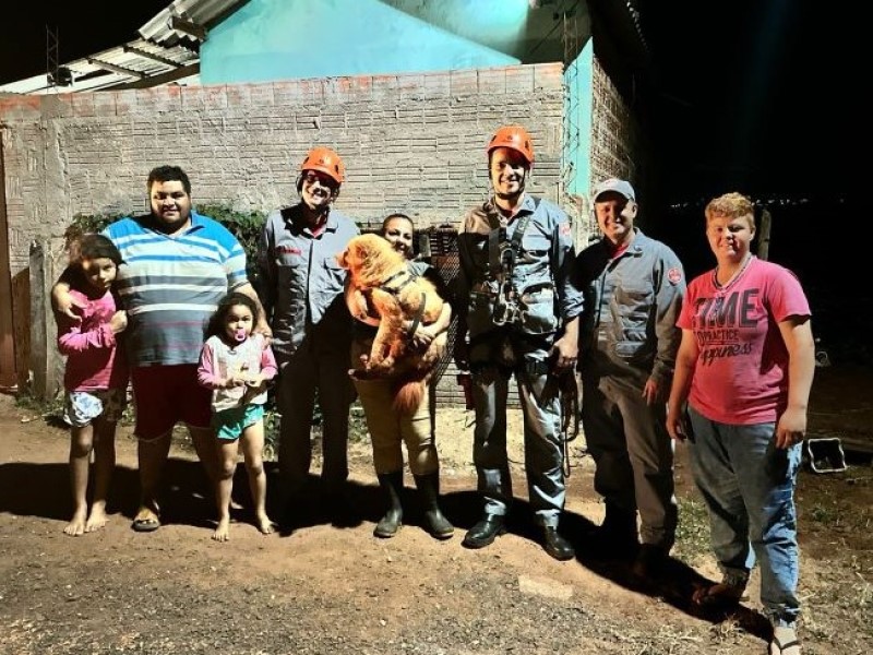 Cachorrinha é resgatada com vida em poço após quatro dias desaparecida em Campos Novos Paulista