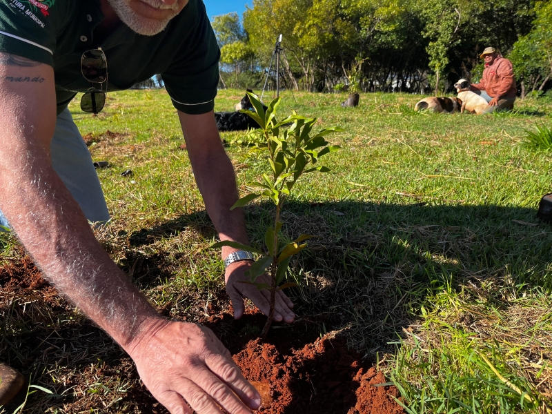 Parque das Águas recebe 100 mudas em ação conjunta da prefeitura e iniciativa privada internacional