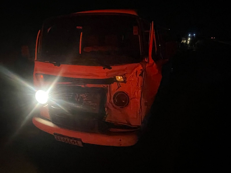 Kombi colide contra dois bovinos na Avenida Benedito Pires
