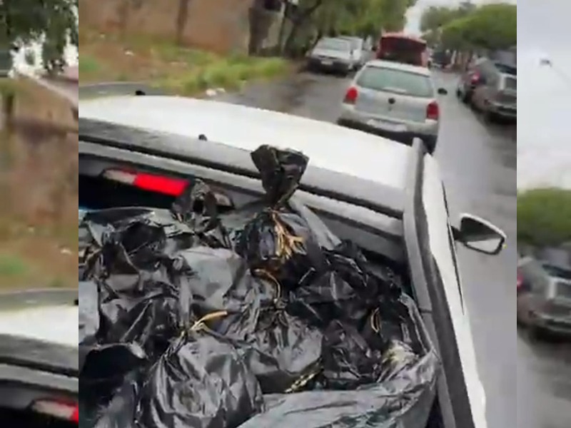 Irmãos transformam vendas em solidariedade e distribuem 2 mil pacotes de doces no Dia das Crianças