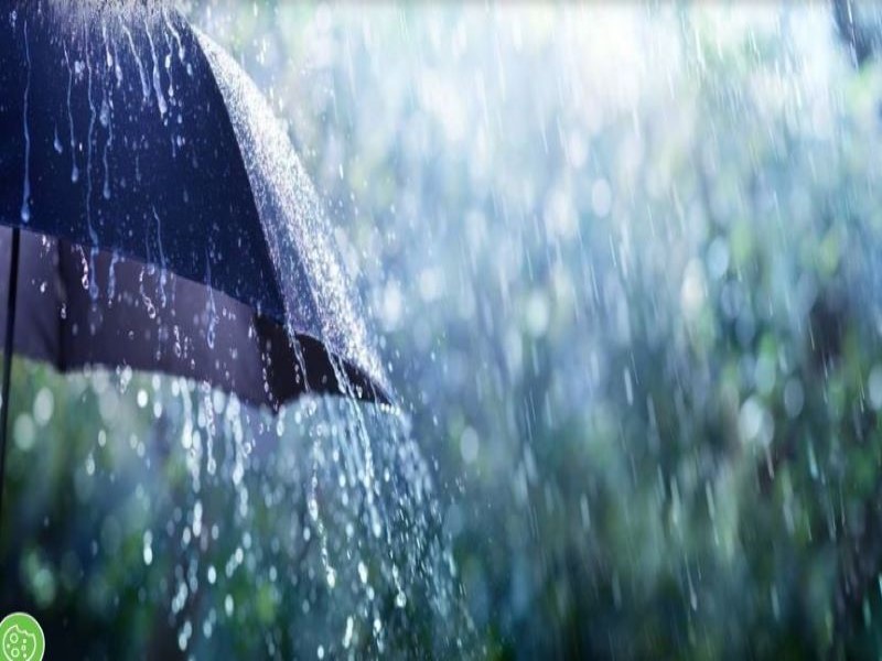 Chuva abre a semana em Assis, mas estabilidade retorna nos próximos dias