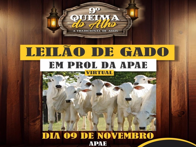 Queima do Alho terá leilão de gado em prol da APAE
