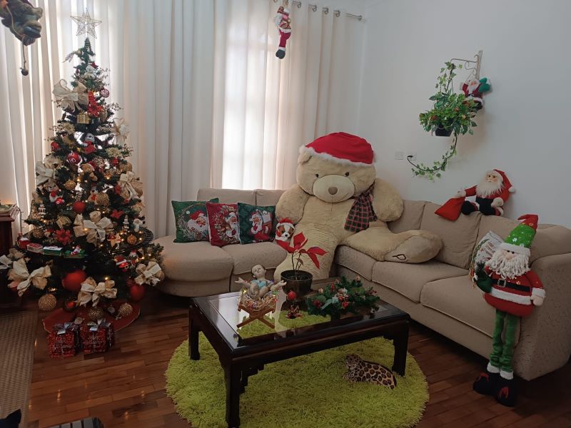 Entre Papais Noéis e fé, moradora de Assis transforma a casa em um verdadeiro cenário de Natal