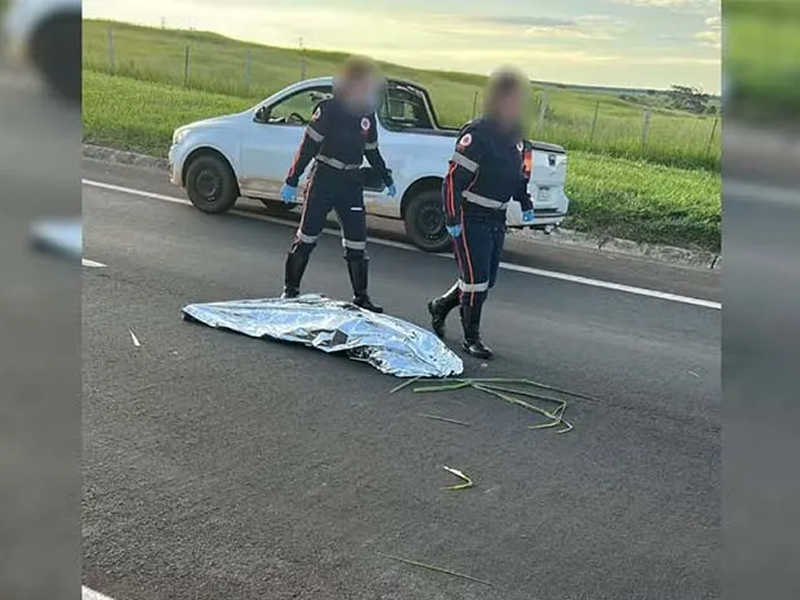 Mulher atropelada em rodovia é declarada morta, deixada na pista e reanimada minutos depois