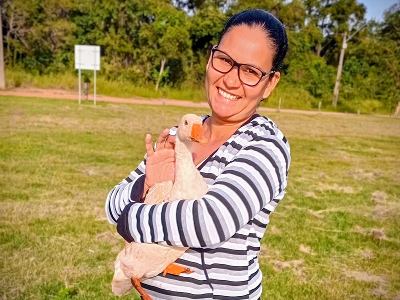 Projeto “Pato Solidário” denuncia desaparecimento de ganso e oito patos em menos de uma semana