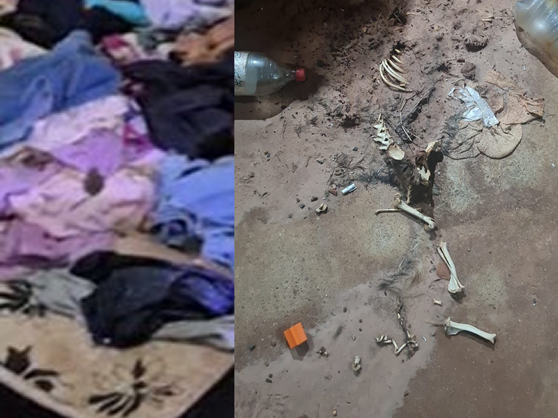 Menina de 3 anos é resgatada trancada em quarto cercado por sujeira e abandono em Assis