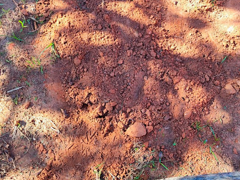 Casal é preso após recém-nascido ser encontrado queimado em Álvares Machado