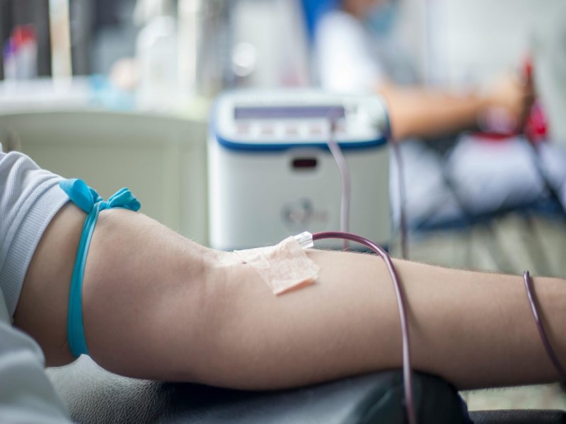 Campanha de cadastro para doação de medula óssea acontece hoje na FEMA e é aberta à população