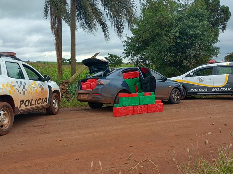 PM Rodoviária apreende 840 kg de maconha e causa prejuízo de R$ 1,7 milhão ao tráfico