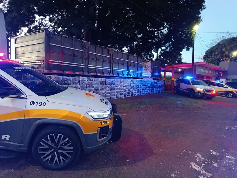 TOR apreende mais de 4 toneladas de maconha e causa prejuízo de R$ 8 milhões ao crime